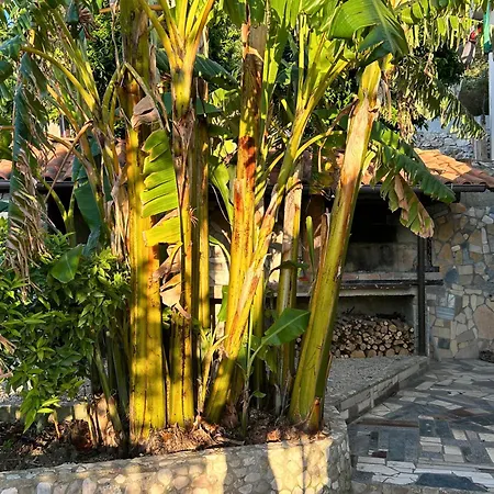 Hotel Murat - Panoramic View Orikum